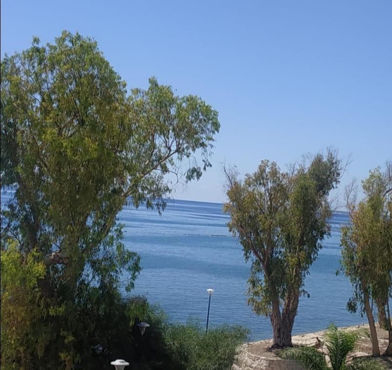 Apartmán Galatex Μaisonette Lemesos Exteriér fotografie